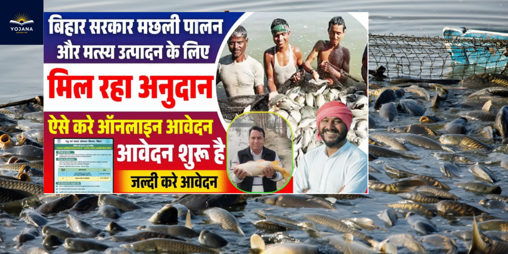 Bihar Jalashay Matsyaki Vikas Yojana 2025: मछली पालन पर मिलेगा सरकारी अनुदान, जानिए कैसे करें ऑनलाइन आवेदन?