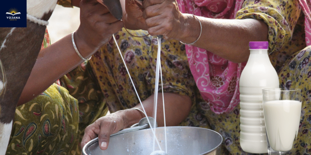 दूध बेचो, बोनस पाओ! इन जिलों के किसानों को मिलेगा 7 रुपये/लीटर का फायदा, साथ में ₹5 लाख का बीमा भी