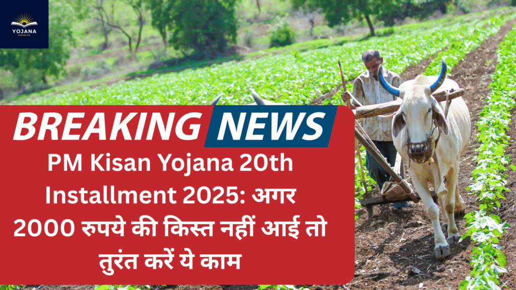 PM Kisan Yojana 20th Installment 2025: अगर 2000 रुपये की किस्त नहीं आई तो तुरंत करें ये काम